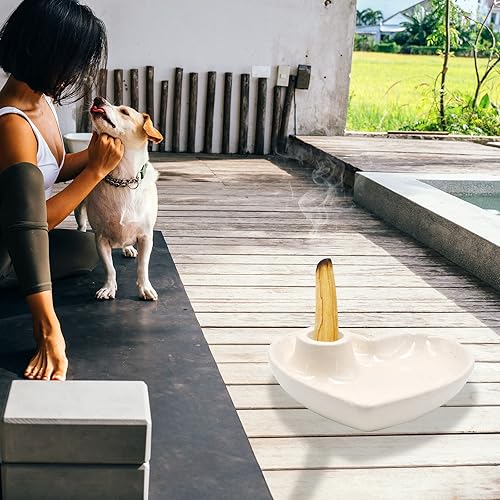 Miniatura 4 de Soporte para incienso de cerámica para palitos de Palo Santo, soporte de madera aromática y colector de cenizas, quemador de incienso de cerámica