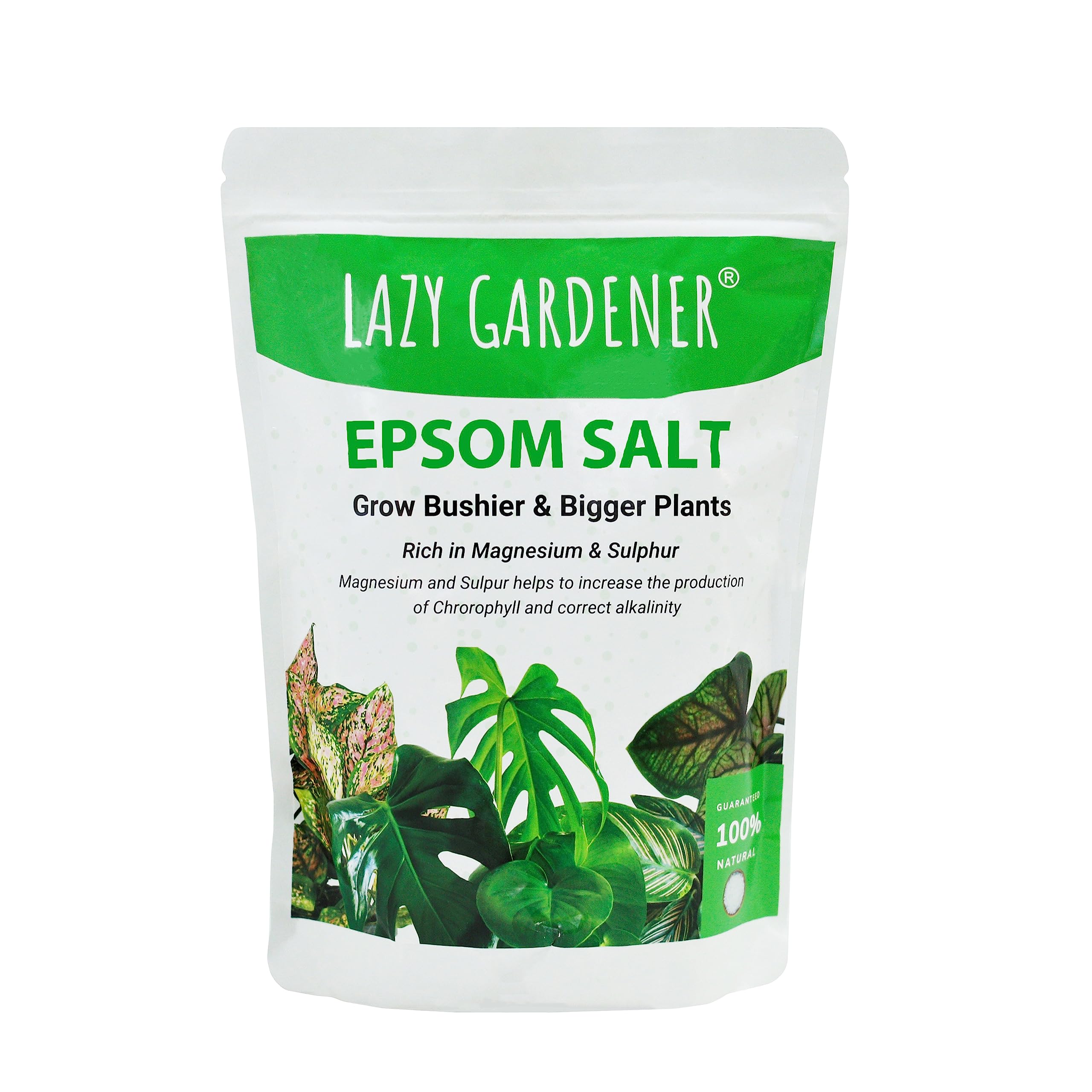 Lazy Gardener Epsom Salt | Nutrient-Rich Sulphate Fertilizer for Healthy Plant Growth | Magnesium Sulphate Organic Fertilizer for Plants (2800 g), Granules (B0C8P1SZNN) Amazon Price History, Amazon Price Tracker
