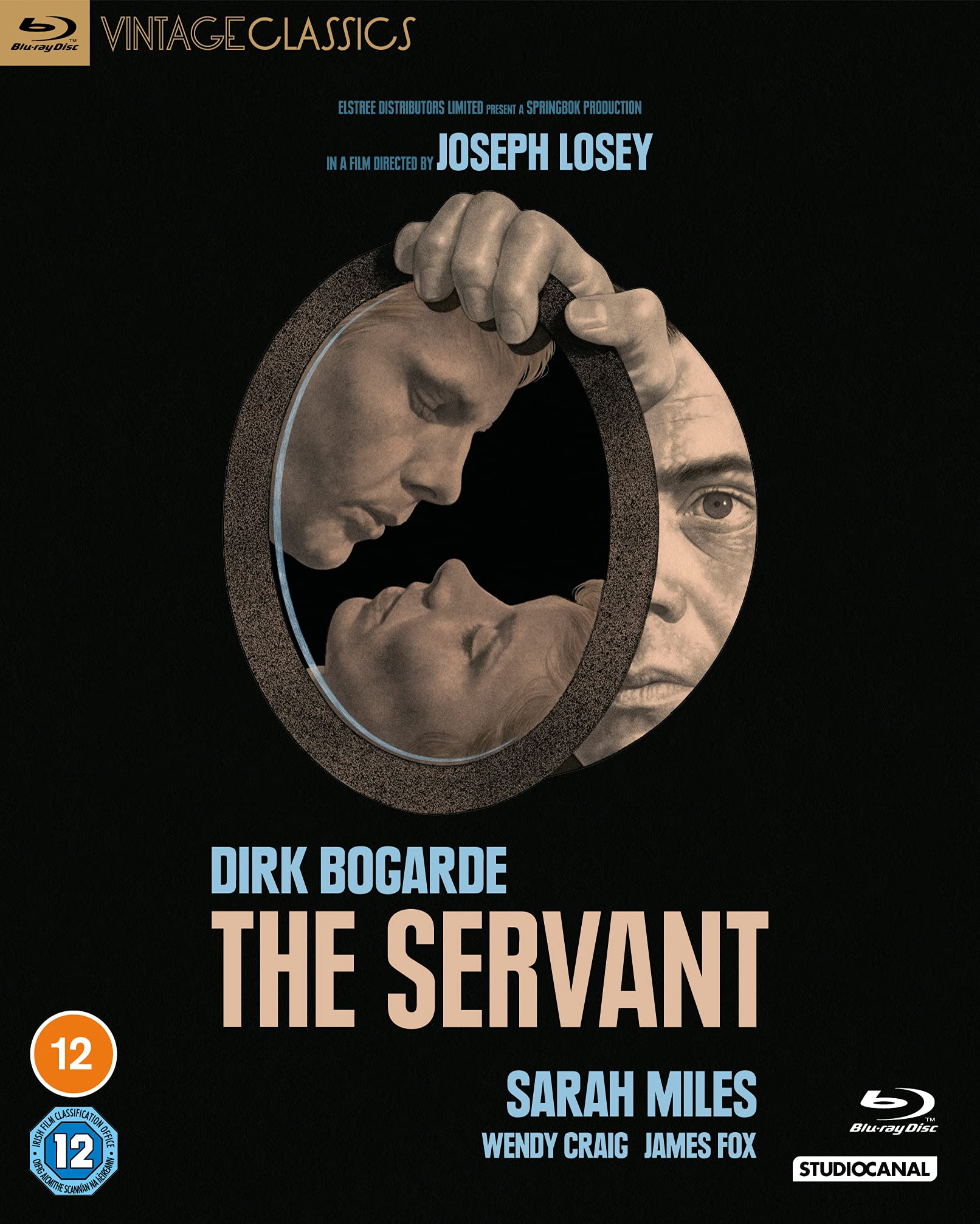 The Servant (Vintage Classics)