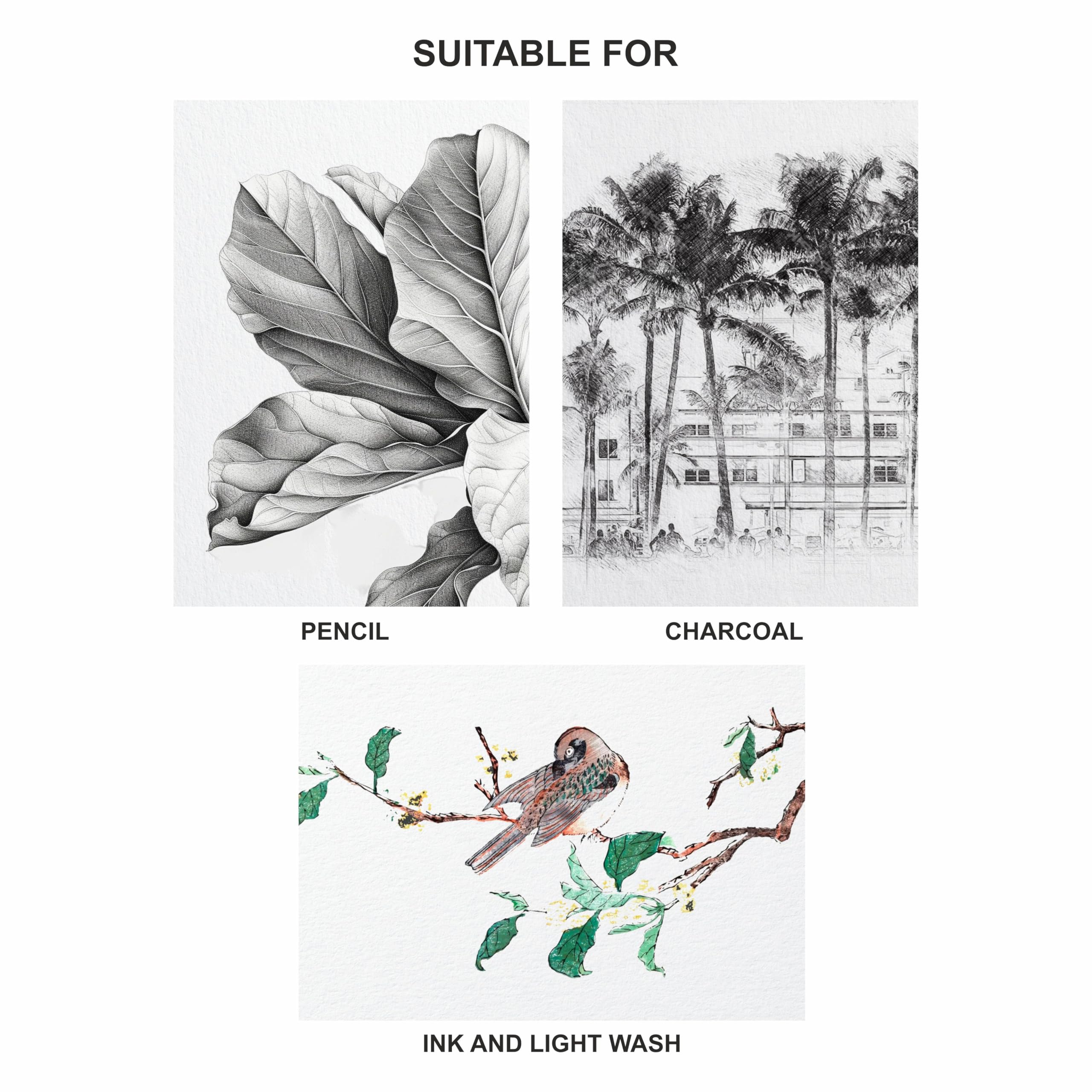 Anupam SketchO Sketching & Drawing Paper A3 | 50 Sheet 100 Pages | 140 GSM Sheet for Pencil, Charcoal, Graphite, redchalk Pastel, Chalk, Oil Pastel & Wax Crayon for Artist's & Amateurs - Image 6 thumbnail
