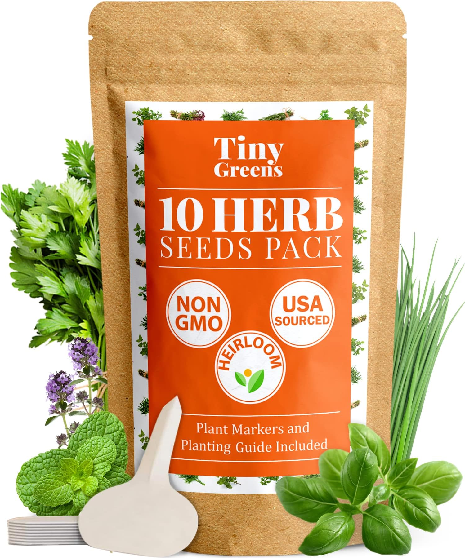 Herb Seeds Vault [10 Variety - 3000 Seeds] - Heirloom, Non-GMO - Herbs Seeds for Planting Indoors or Outdoors | Herb Garden Seed Pack: Thyme, Mint, Chives, Dill, Cilantro, Parsley, Basil, Marjoram
