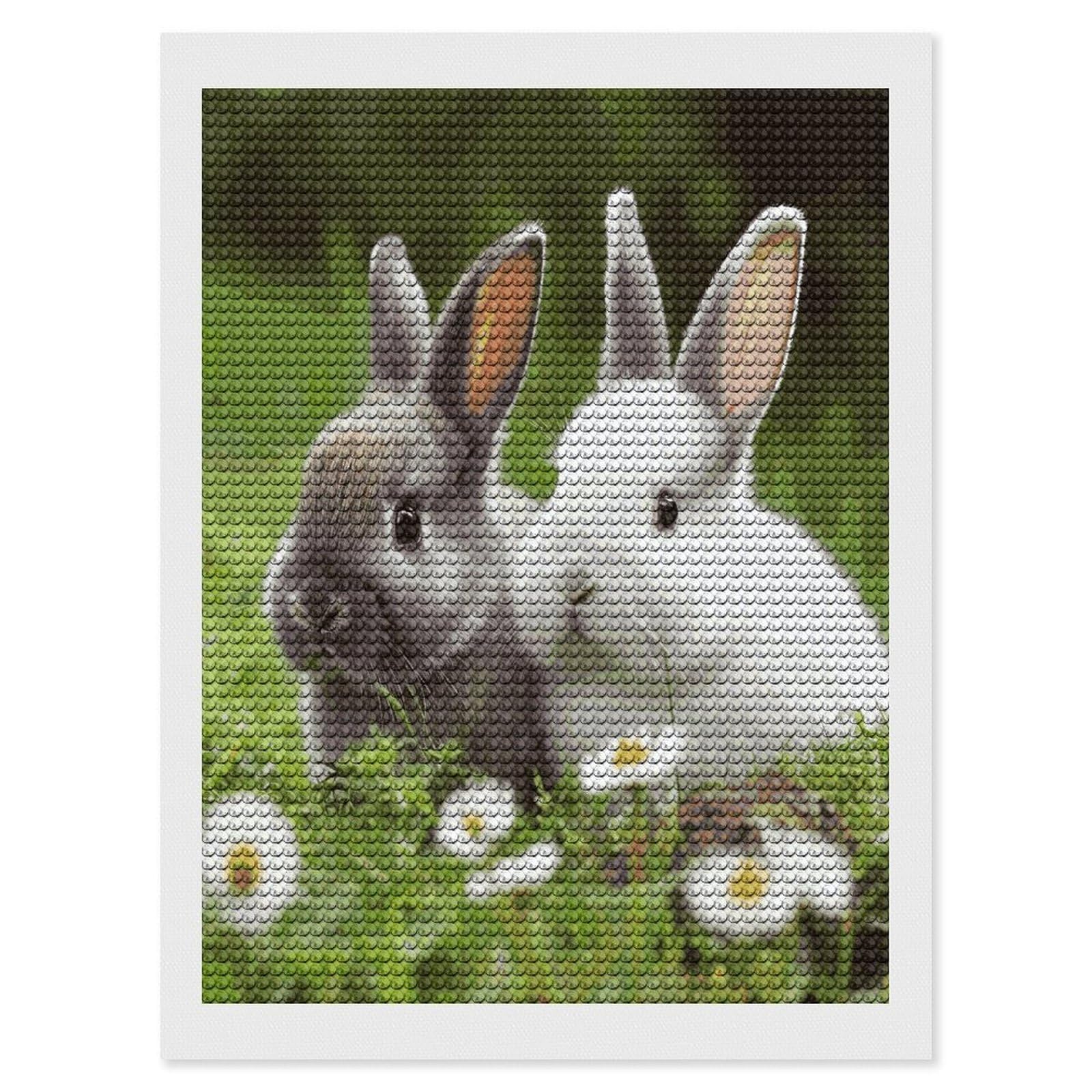 LDGSUPH Two Little Cute Rabbits Diamond Painting Kits for Adults Paint with Diamond Pictures Art DIY Full Drill Diamond Dots Painting Personalized Diamond Photo for Home Wall Decor Gift 12"x16"
