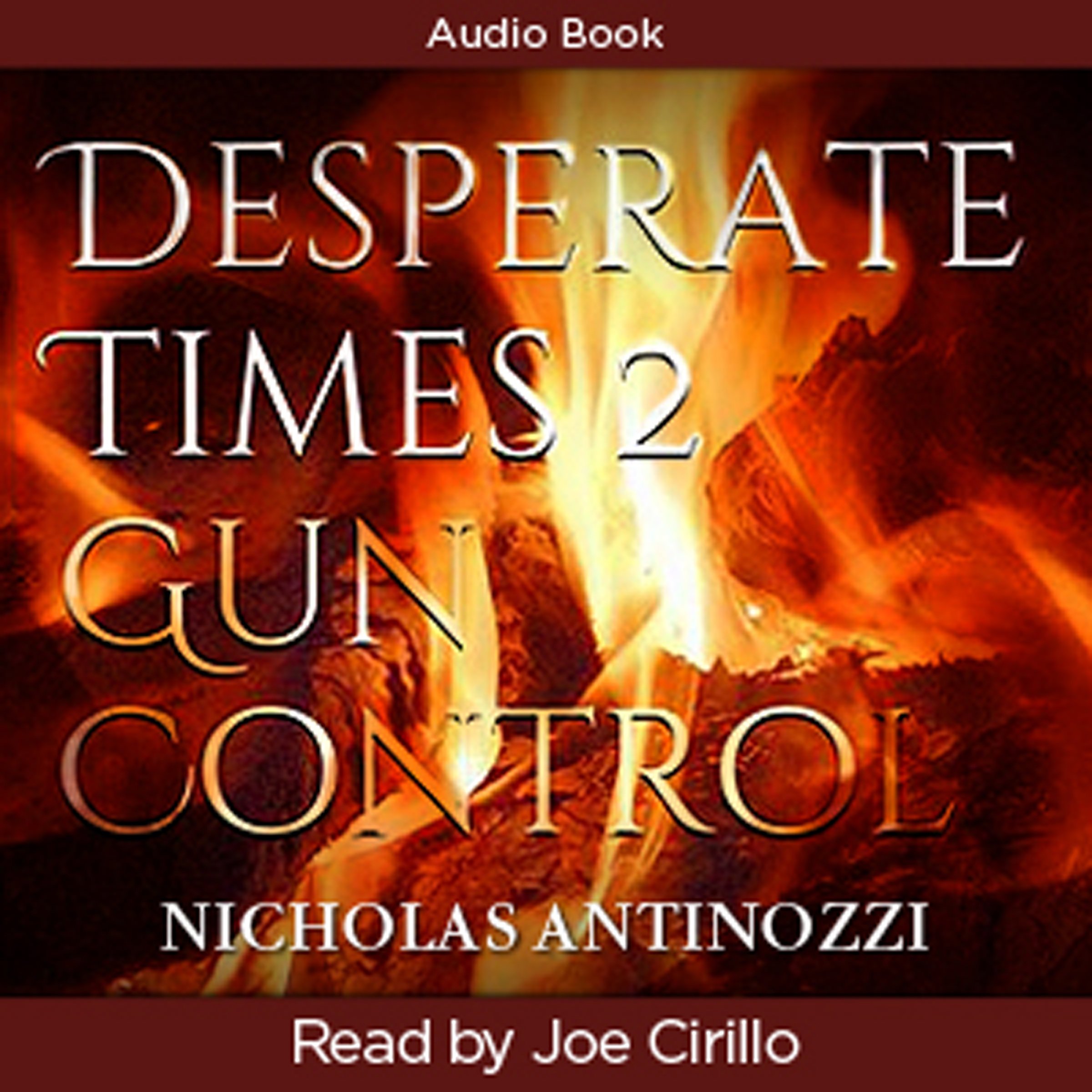 Cover art for Desperate Times 2 Gun Control