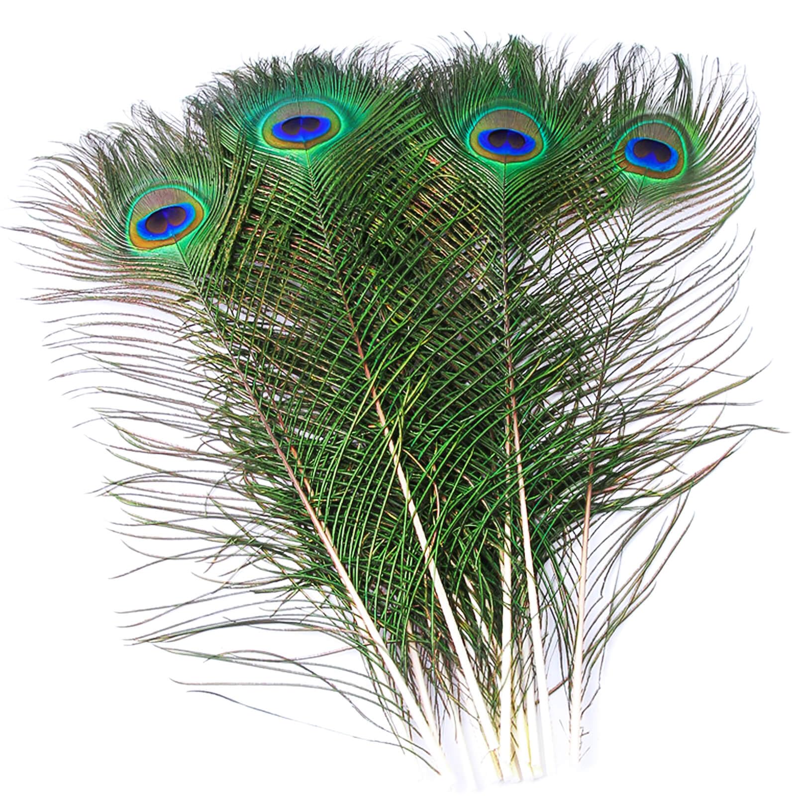Plumas de pavo real de 40 cm para rellenar jarrones y crear adornos navideños o de carnaval