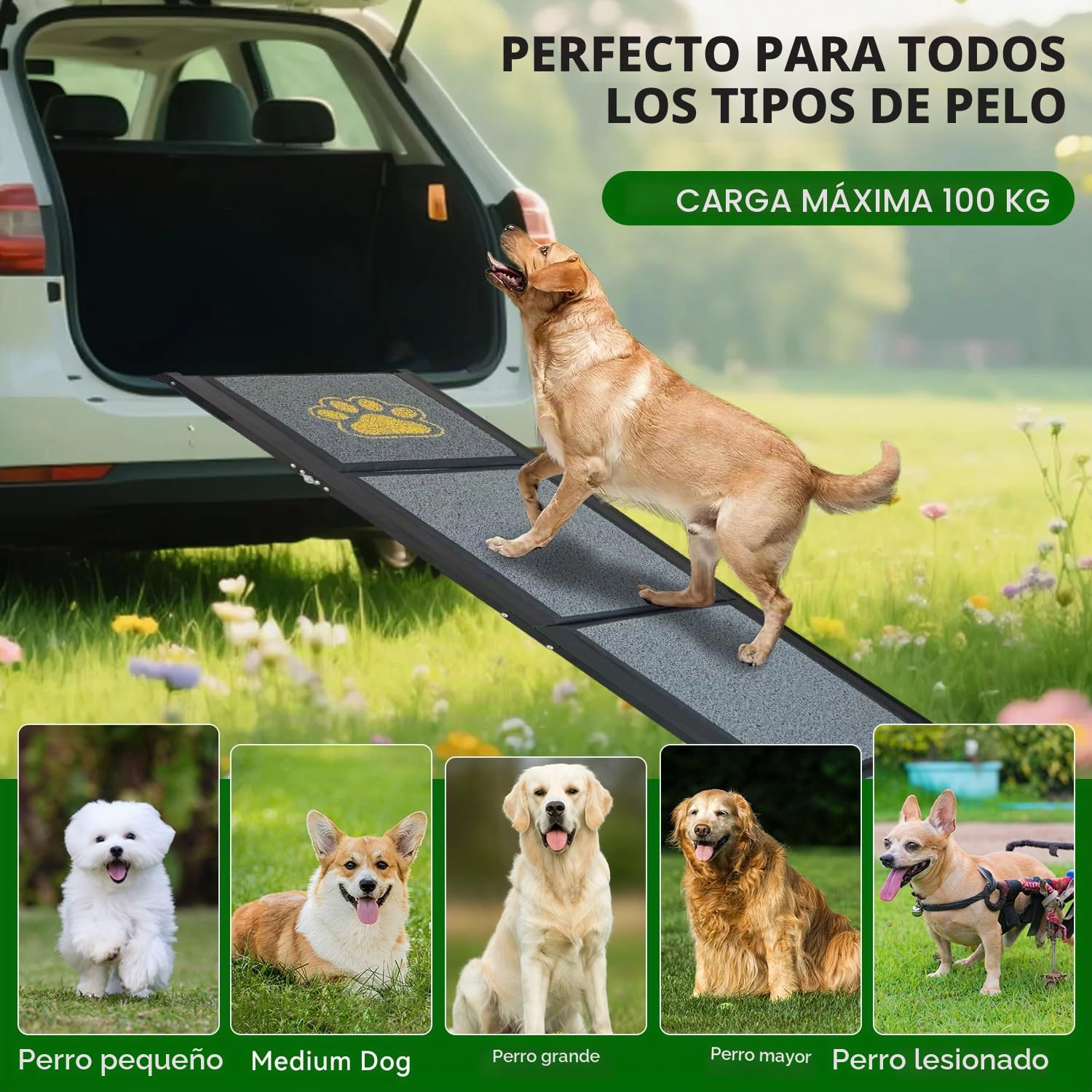 Rampa para Perros de Coche Plegable 170 x 50 cm Gris, con Superficie Alfombrada Antideslizante, hasta 70 kg, Aluminio Ligero para Mascotas, para Coches, Camiones, Todoterrenos y Escaleras Exteriores