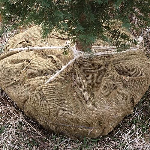 Miniatura 5 de Cubiertas de arpillera para plantas, protección contra la congelación, 40 pulgadas x 16.5 pies, mantas de plantas de invierno para plantas de