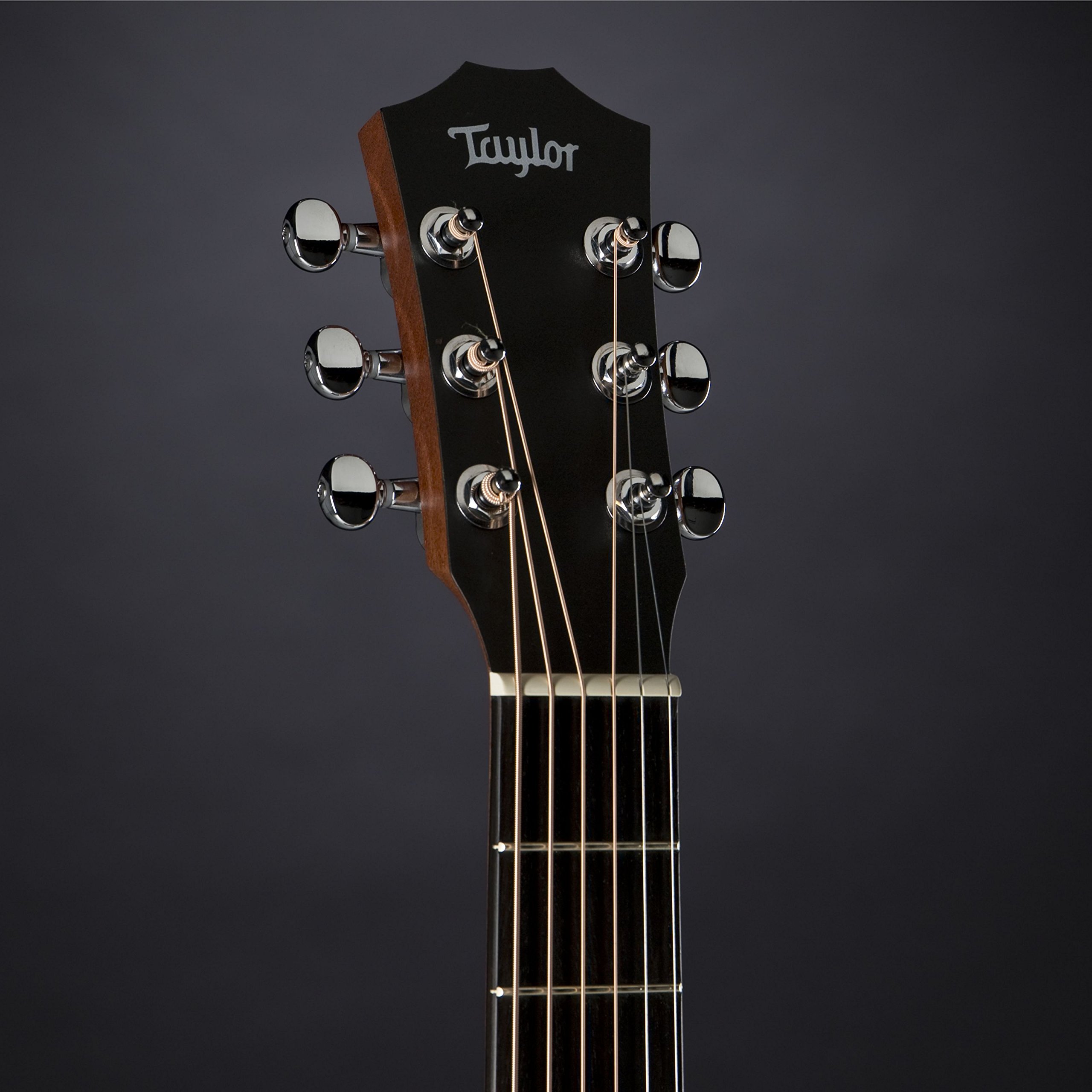 Amazon | Taylor Baby Mahogany BT2e エレアコ ミニアコースティック