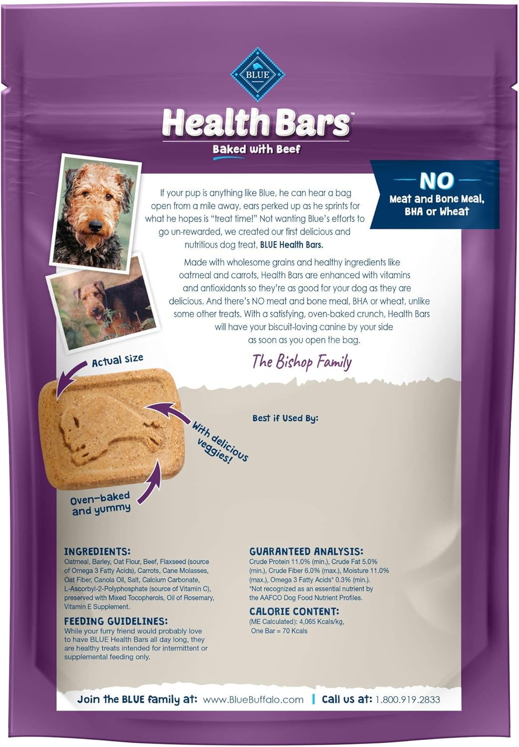 Blue Buffalo Health Bars Natural Crunchy Dog Treats Biscuits, Pumpkin & Cinnamon 16-oz bag : Pet Treat Biscuits : Pet Supplies