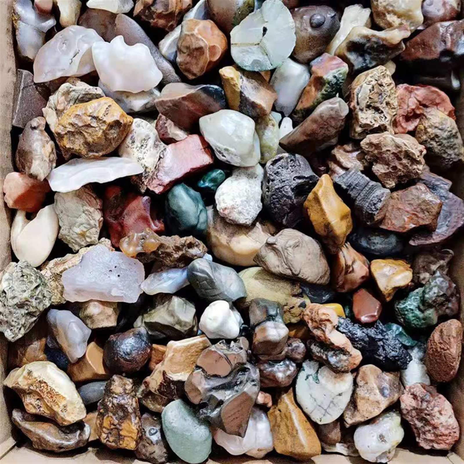 100 g Alxa Gobi Agata Naturale Gobi Stone Fish Tank Stone Strange Stone Collection Stone Family Fish Tank Decorazione Pietra Collezioni di casa