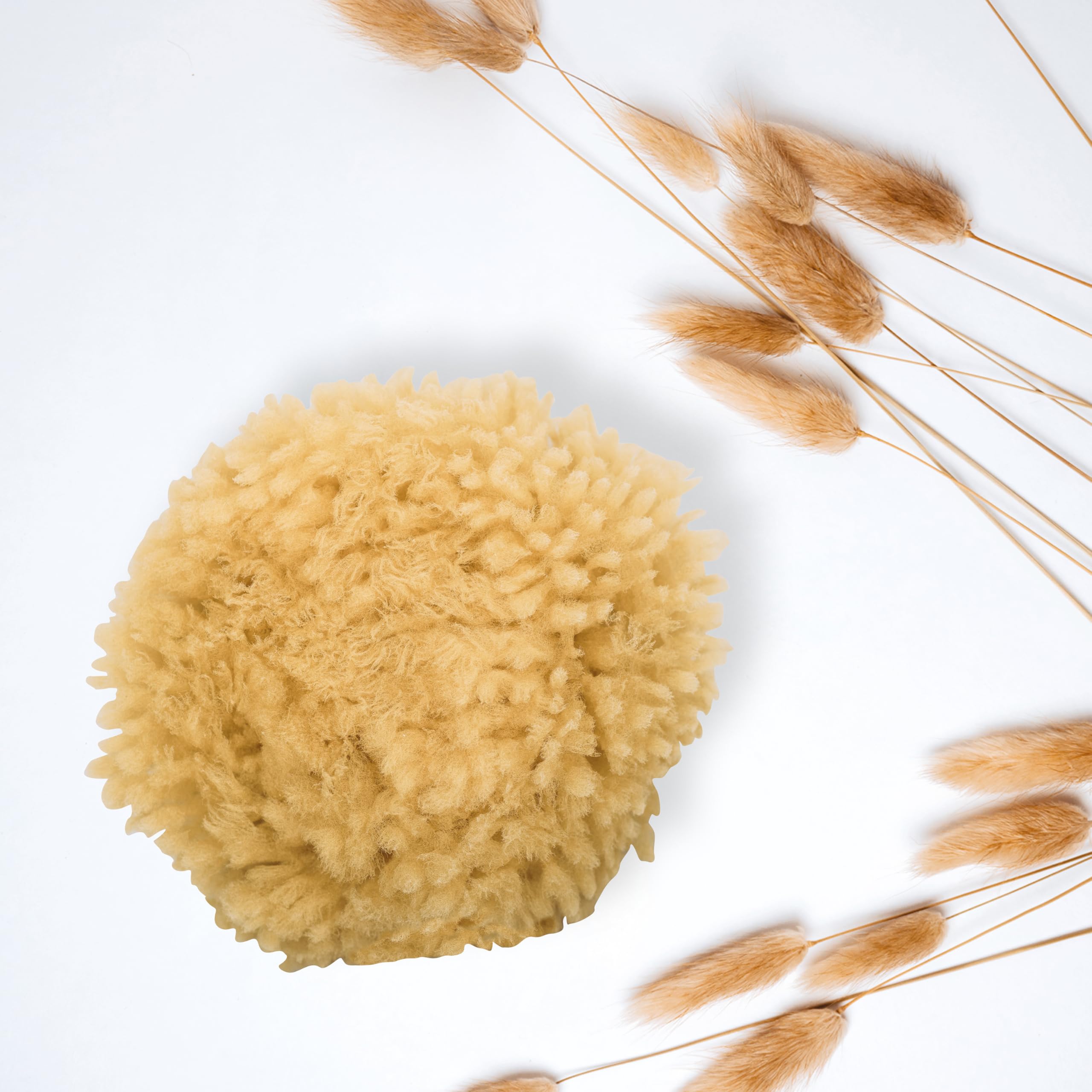 Niyok® Spugna Naturale • Spugna da Bagno Naturale • Spugna per il Corpo per Doccia e Bagno • Senza Plastica e Biodegradabile • Spugna Naturale