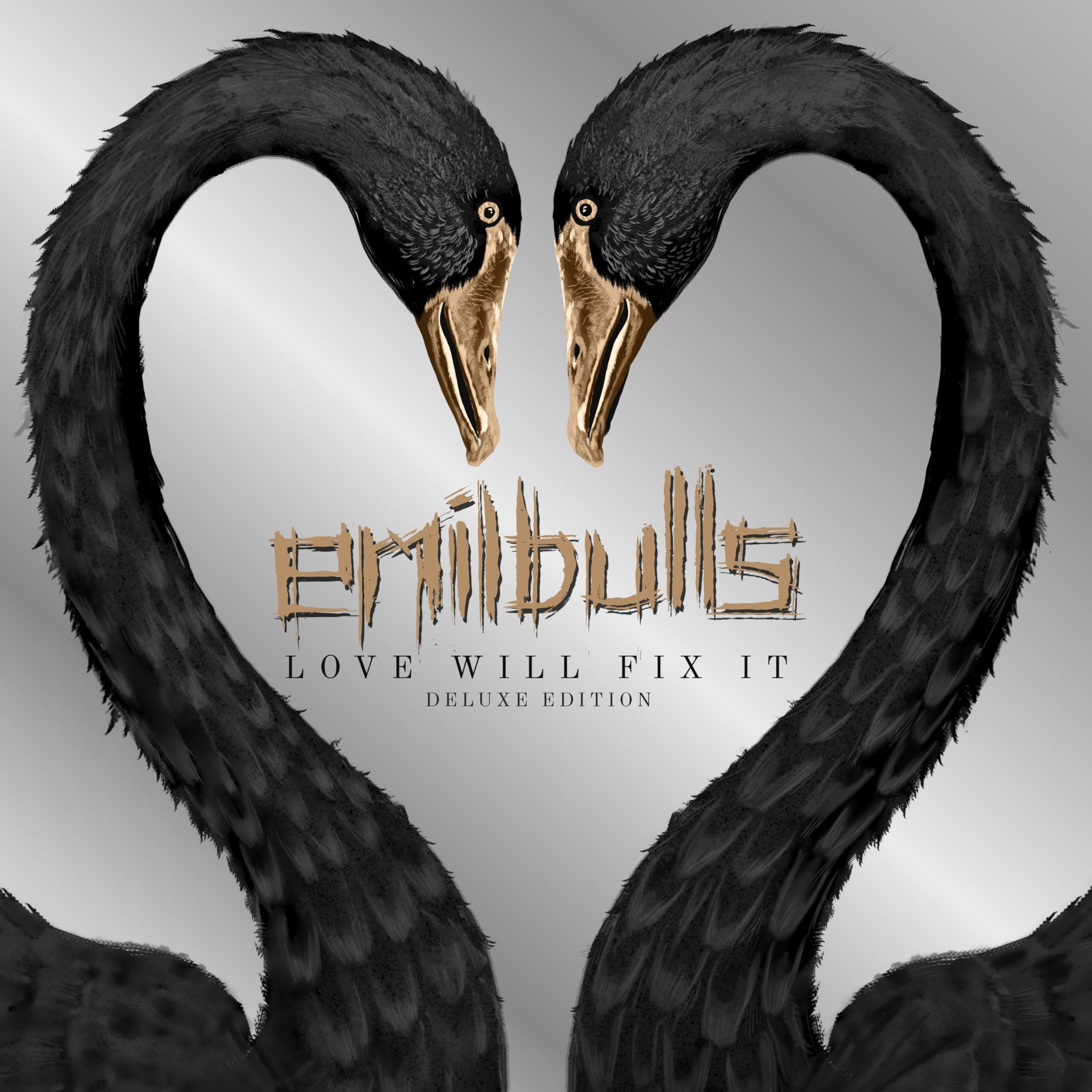 Love Will Fix It Deluxe Edition (Limited Picture Disk 2LP) [Vinyl LP] [VINYL]