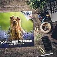 Vista 1382 de Razas de Perros 2017