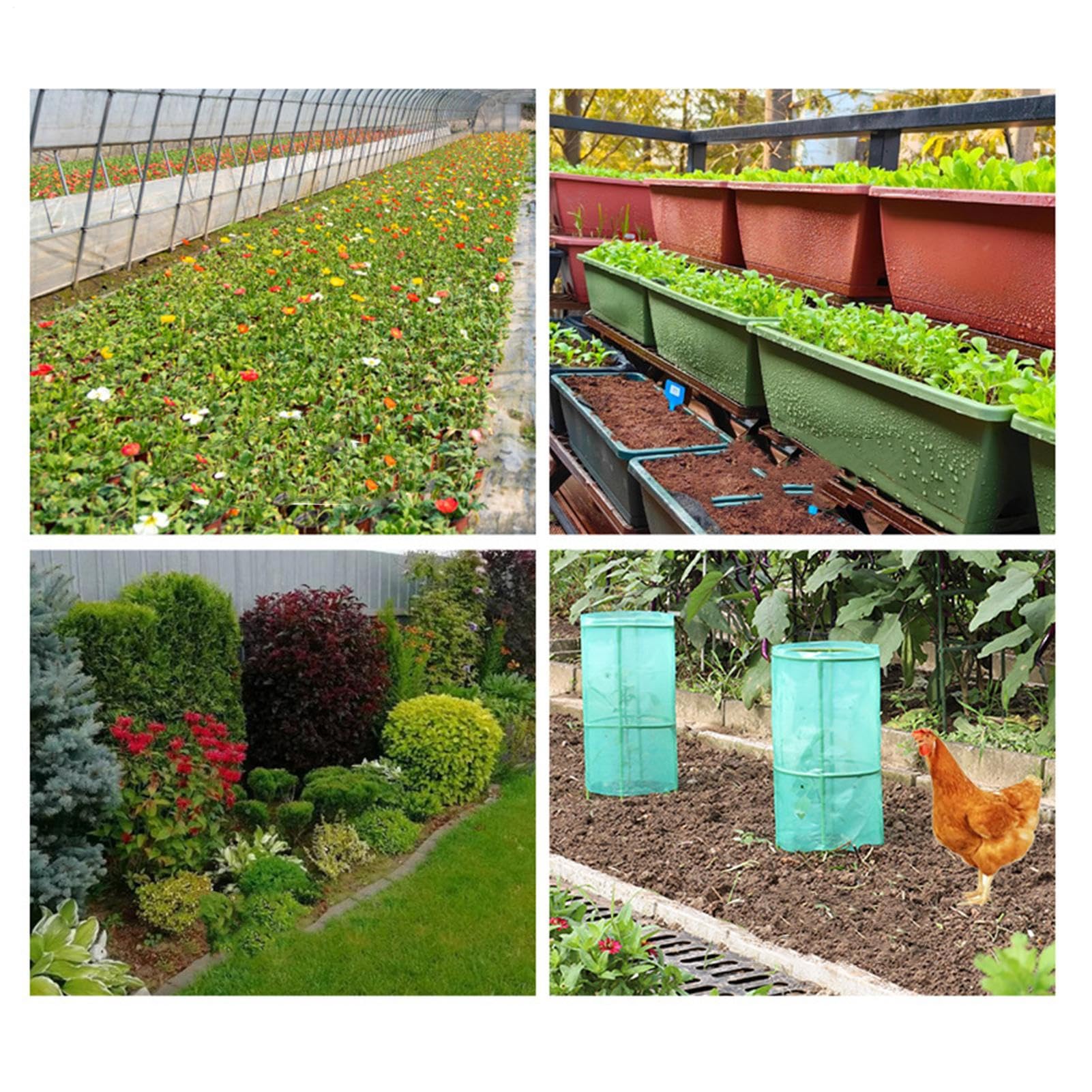 Pflanzenschutzglocke Für Garten,Schutzgitter Für Jungpflanzen - Praktische Montage Gartenschutz Gitter Gartengeräte Für Gemüsebeete Gewächshaus