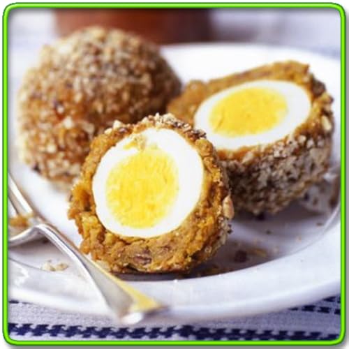 Egg Recipes Breakfast Free