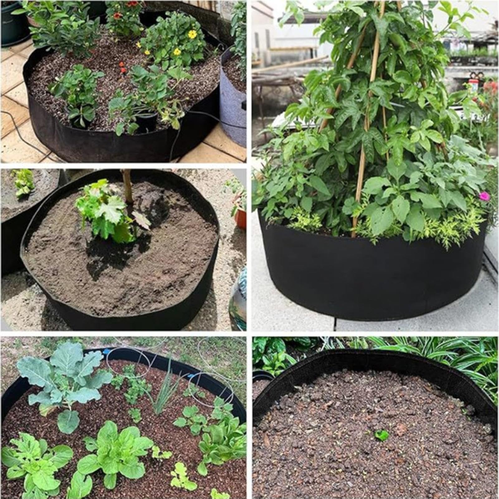 Bolsas De Cultivo 10 Unidades De Plantador De Tomate | Macetas De Fieltro Para Cultivo Para Patatas, Flores, Frutas Y Raíces En Invernadero, Jardín, Vivero, Interior, Hidropónico