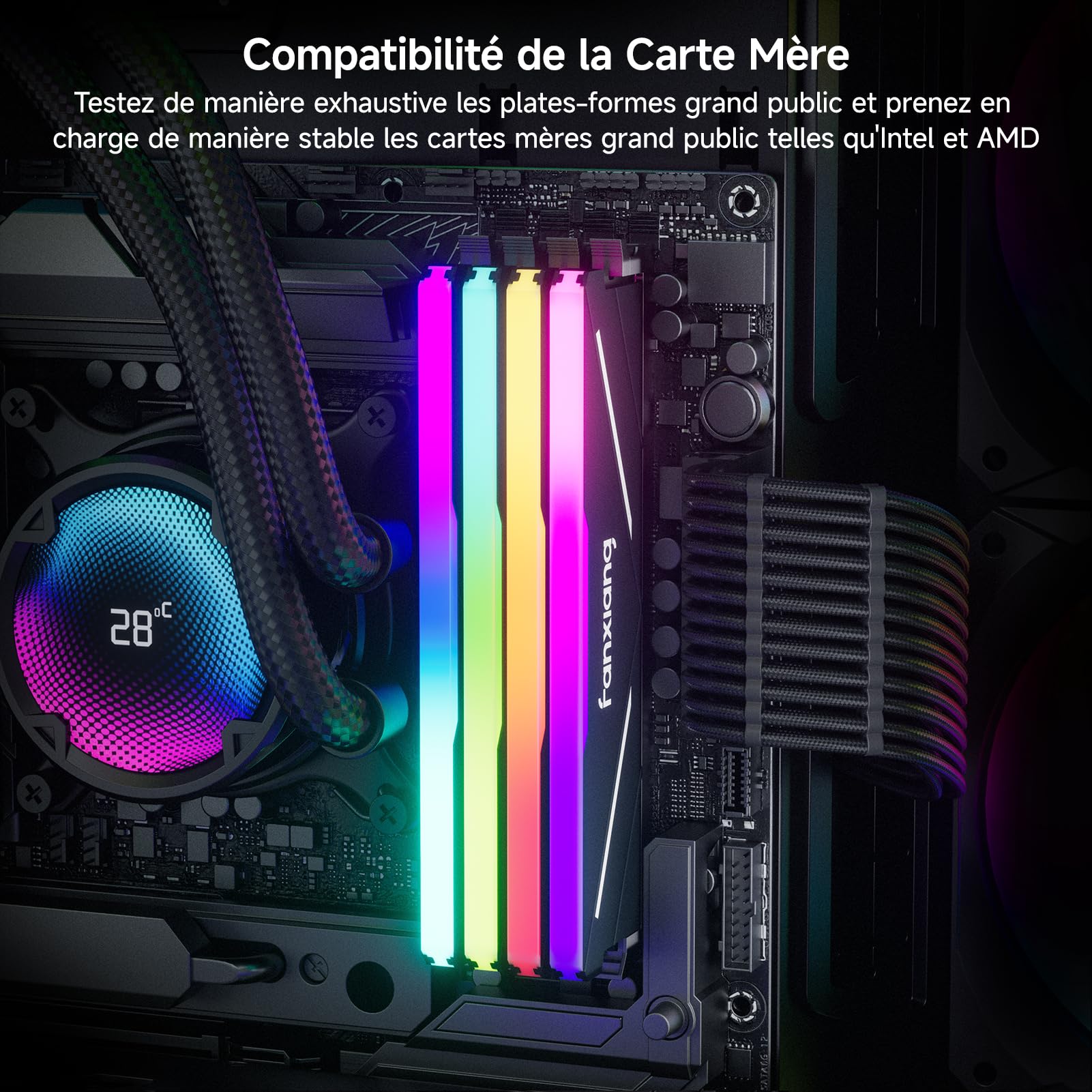 fanxiang RGB RAM DDR4 32 Go (2x16 Go) 3600 MHz CL18 V1.35, Une Mémoire RAM d'Overclocking pour Les Ordinateurs de Jeu de Bureau, Compatible avec Intel XMP 2,0 et AMD