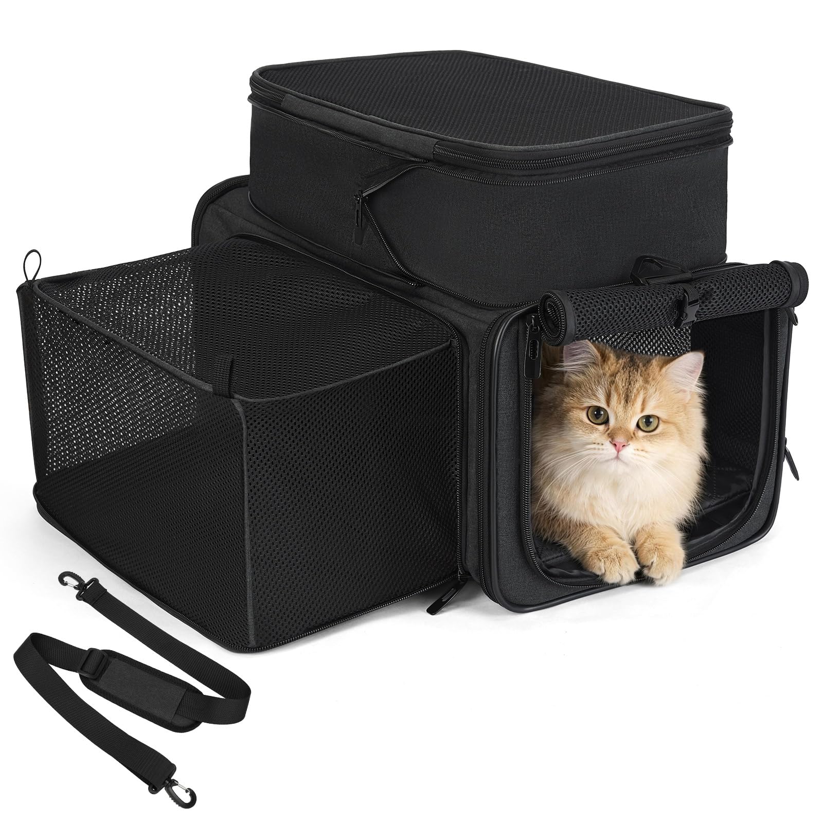 apollo walker Katzentasche Flugzeug, Faltbare Haustier Transporttasche mit Stabilem Halt, Leichte & Atmungsaktive Transportbox für Katzen und kleine Hunde, ideal für Reisen