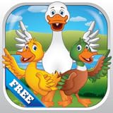 Mokool Apps