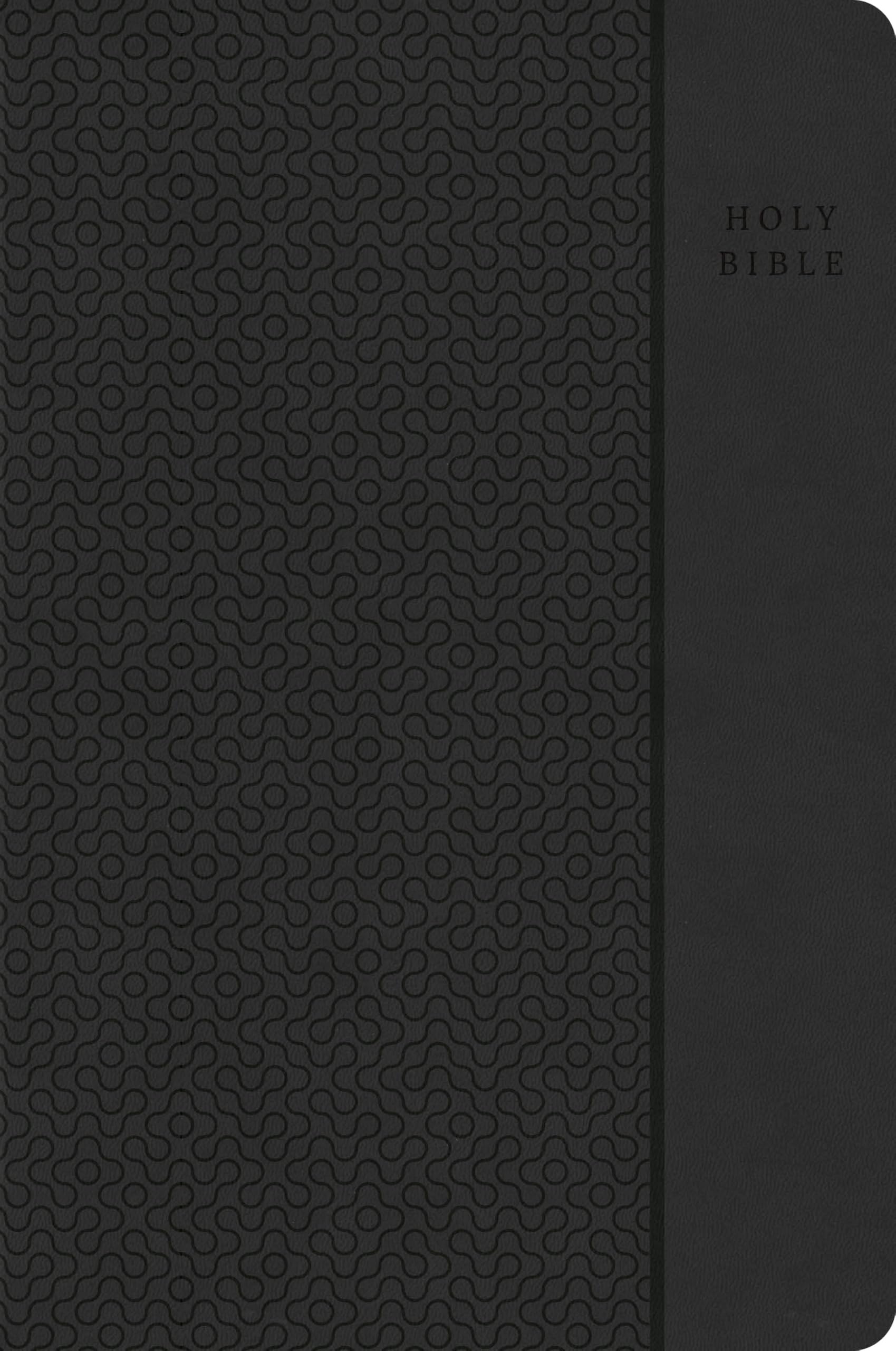 CSB Large Print Compact Reference Bible, Value Edition, Easy-to-Read Optimal Type, Charcoal LeatherTouch