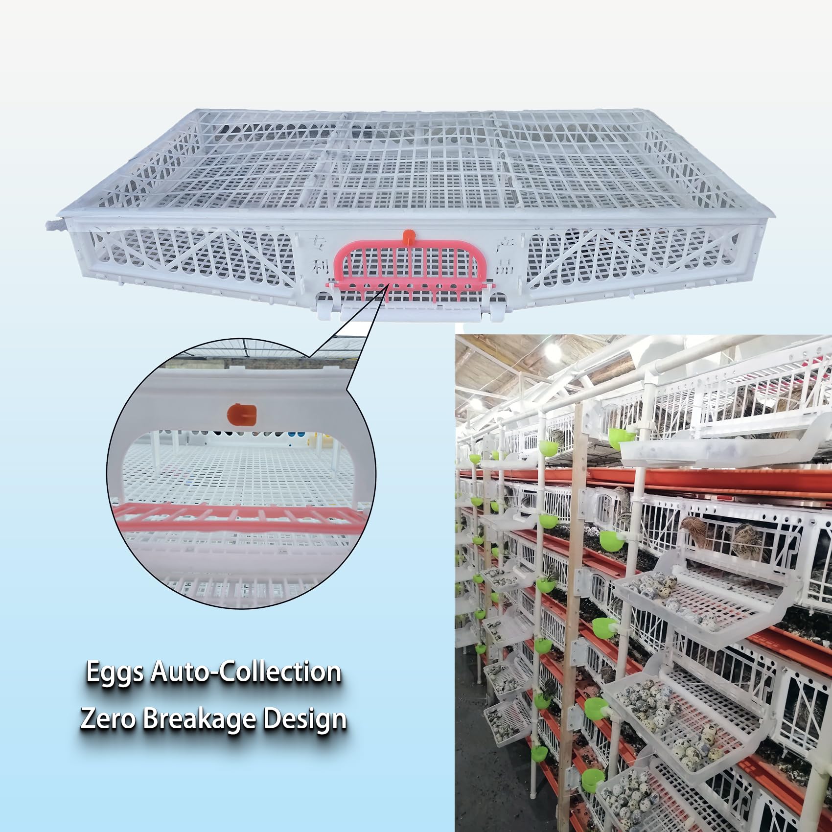 Jaula para Codornices 6 Niveles - Capacidad 420 Aves | Marco Híbrido ABS/Acero Reforzado | Diseño Vertical Compacto para Granjas Interiores/Patio/Comerciales(Size:360-420 Adult Quails)