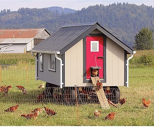 Miniatura 8 de Amtrak Solar Potente ventilador de escape galvanizado de 80 vatios de 12 pulgadas, montaje a dos aguas, ventilador de ático para casa, gallinero,