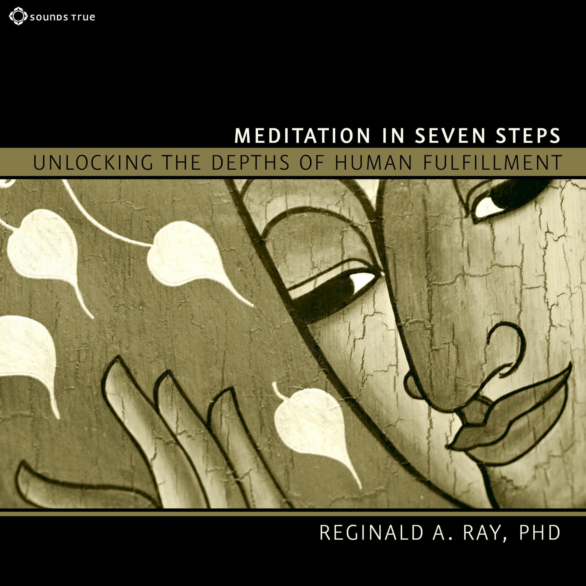 Cover art for Meditation in Seven Steps