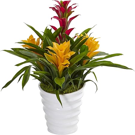Faux Bromeliad in White Swirl Vase