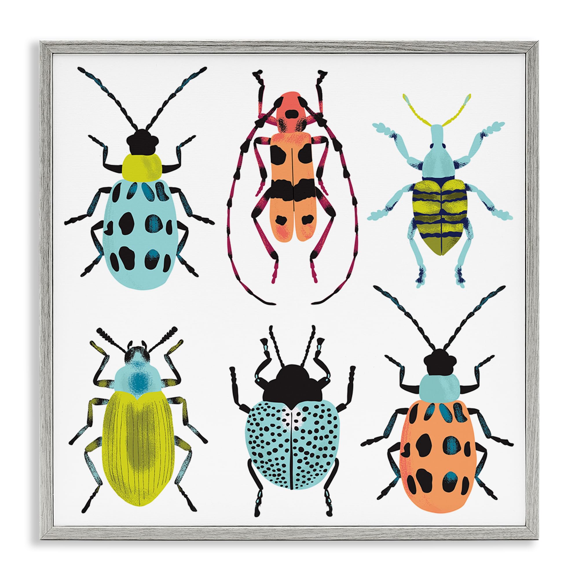 'Beetles & Bugs Collection'| Framed Giclee Art