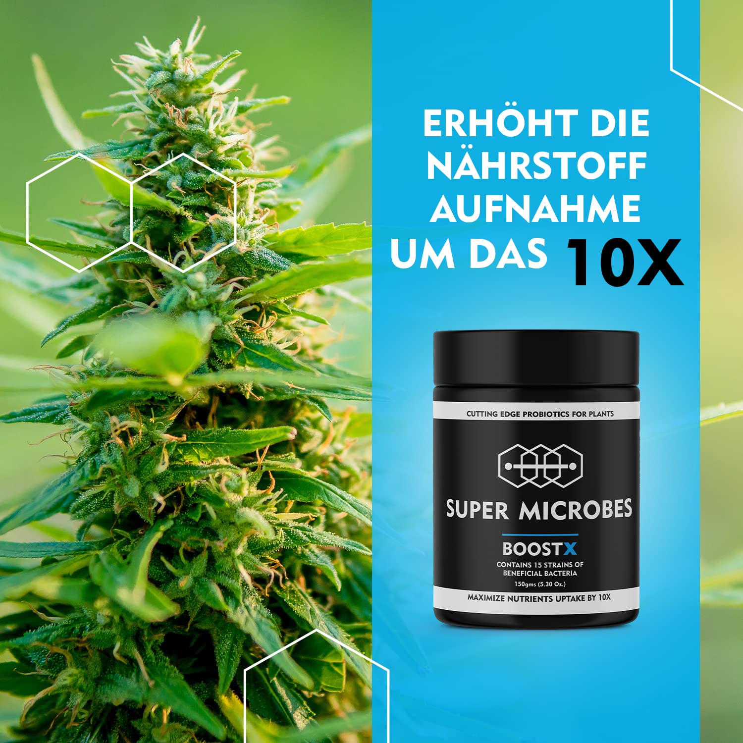 BoostX - Fertilizzante per piante verdi premium | Appositamente formulato per piante da fiore e in erba | Contiene 16 microbi benefici inclusi i batteri che fissano l'azoto 400g