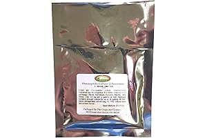 Thermophilic Culture 2tsp - The Perfect Choice for Homemade Cheese