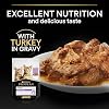 Pro Plan Turkey Meat Wet Food for Kittens 85gr x 10 Pieces Multi-Package