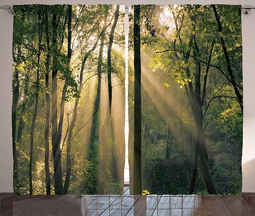 Miniatura 10 de Ambesonne - Cortinas multicolor