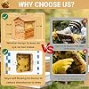 Flowhive Complete Beekeeping Kit, Premium Wooden Self Flow Bee Hive With Honeycomb Trays Brood Frames And Support Stand, Reliable Supplies For Small Scale Apiary Management