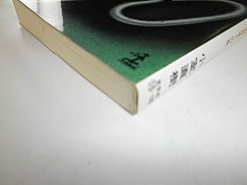 韓国の呪い: 広がるばかりの日本との差 (カッパ・ビジネス