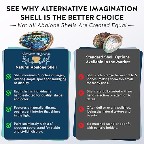 Miniatura 7 de Carcasa de abulón seleccionada a mano, 6 pulgadas o más. Perfecto para sostener incienso, baratijas y más