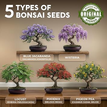 Bonsai Tree Kit Classic - Growing 5 Unique Japanese Bonzai Trees | Complete Indoor Bonsai Starter Kits for Growing Trees Plant Lovers Gifts for Women & Men