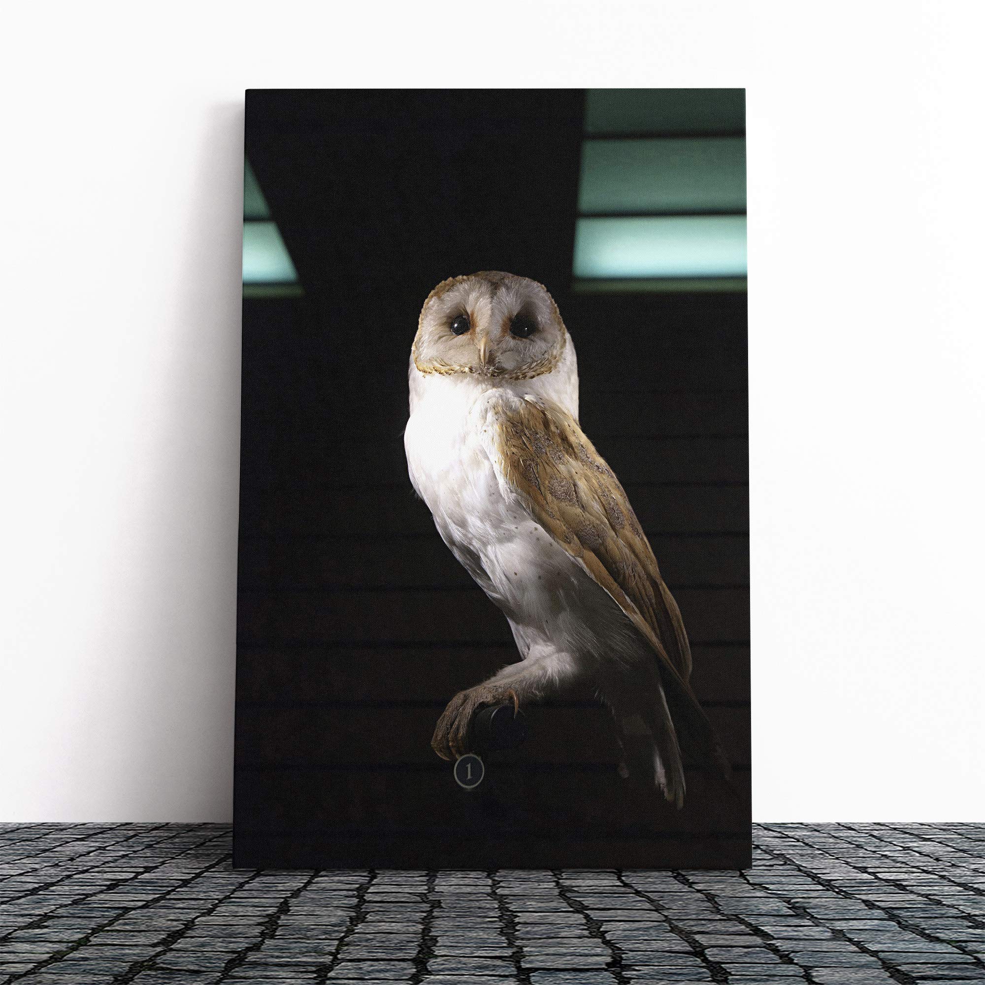 Barn Owl Bird (4) Canvas Print | Gallery Wrapped 30mm Frame Wall Art | 20x14 inches | Ready to Hang | Modern Animals Picture | Living Room Bedroom Lounge Office