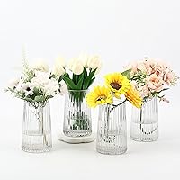 Vista 29 de Jarrón de vidrio transparente para flores, florero para ramo, jarrones de vidrio modernos, jarrones acanalados para sala de estar, dormitorio, mesa