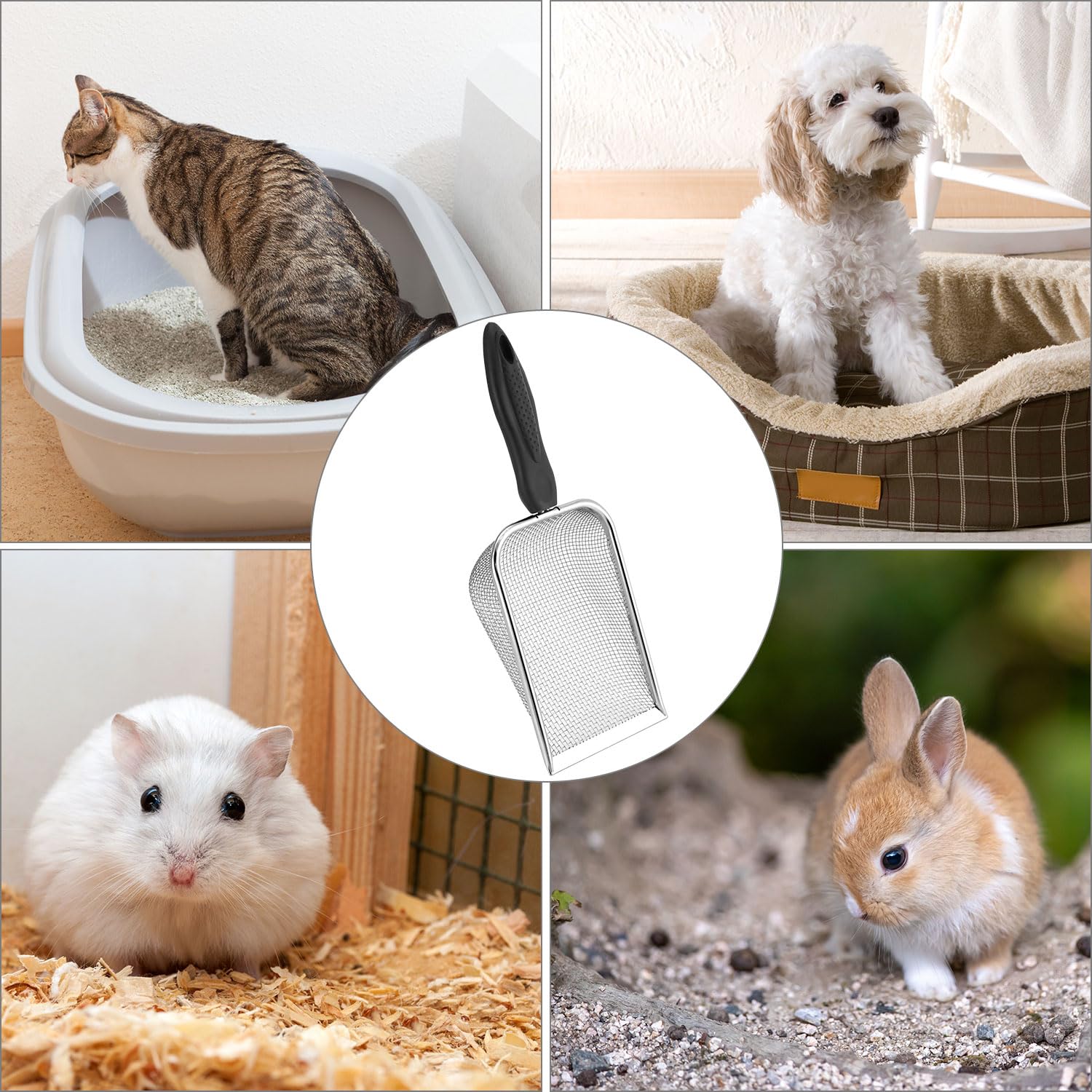 Paletta Per Lettiera In Acciaio Inox - Con Manico In Legno, Per Gatti E Piccoli Animali - Foto 9