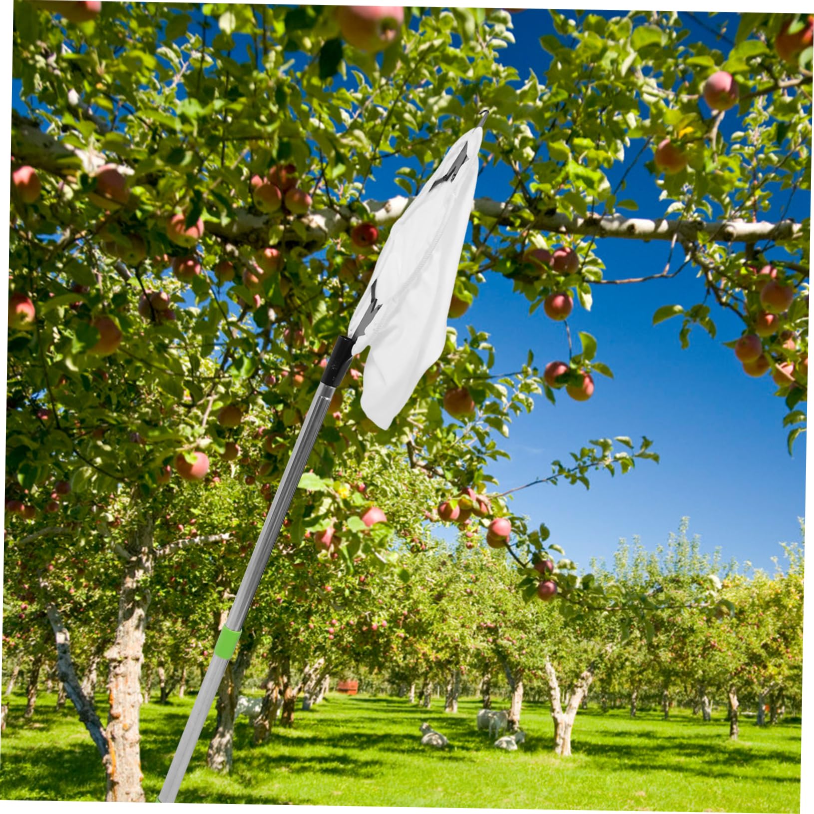 iplusmile 1juego Recolector De Frutas Extensible Cesta Padded Herramienta De Recolección De Manzanas y Varilla Ajustable De Árboles Frutales
