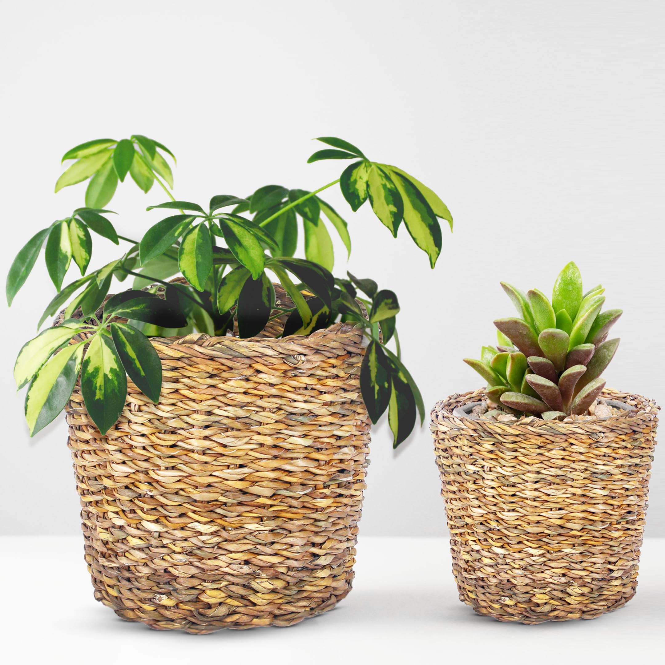 DENOVA Handmade Seagrass Fabric Planter Sabai Grass Jute Basket Gamla for Indoor Outdoor Balcony Terrace Garden Bedroom Living Room Home Décor Round Flower Pot Storage Bin Plants Container (Pack of 2) (B0C6KVVBTD) Amazon Price History, Amazon Price Tracker