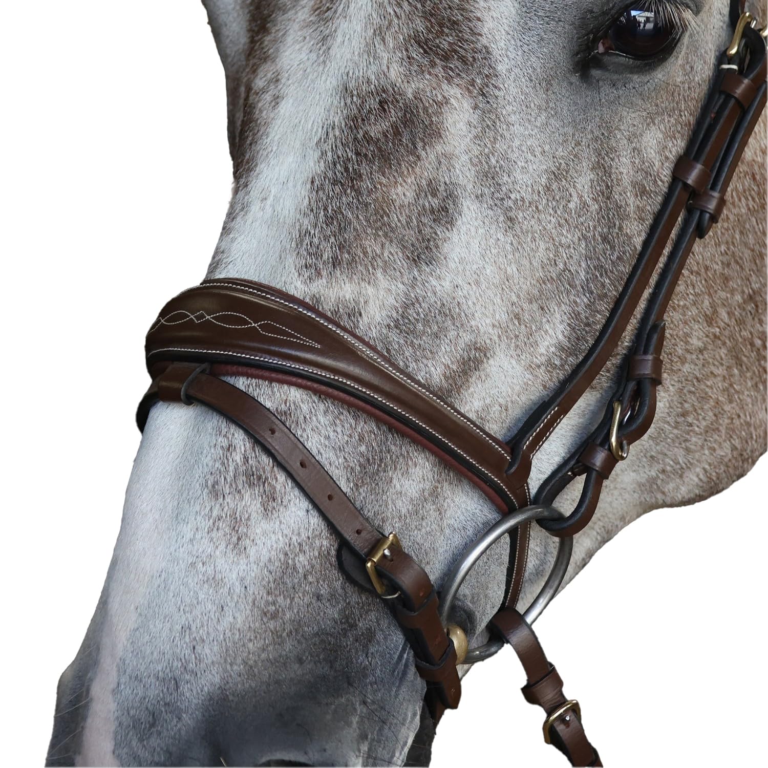 Whitaker - Nasenriemen mit Sperrriemen, Leder