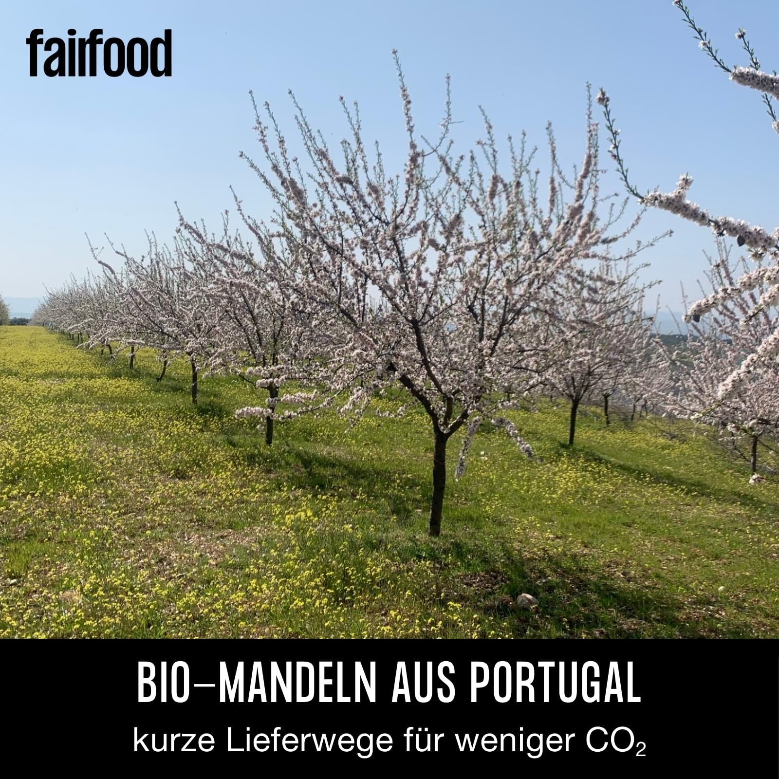 fairfood Freiburger Nuss-Mix geröstet & gesalzen (500 g) – Bio, Fair gehandelt & Vegan – Nussmischung mit Cashews & Mandeln – Ohne Öl geröstet in eigener Manufaktur