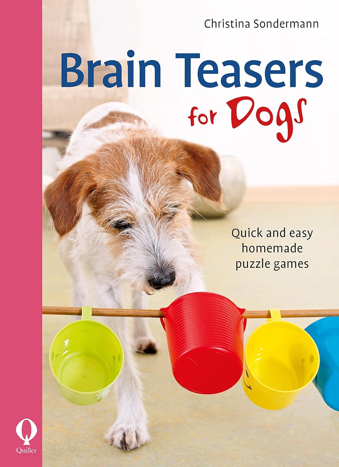 Brain Teasers for Dogs Quick and Easy Homemade Puzzle Games Sondermann, Christina