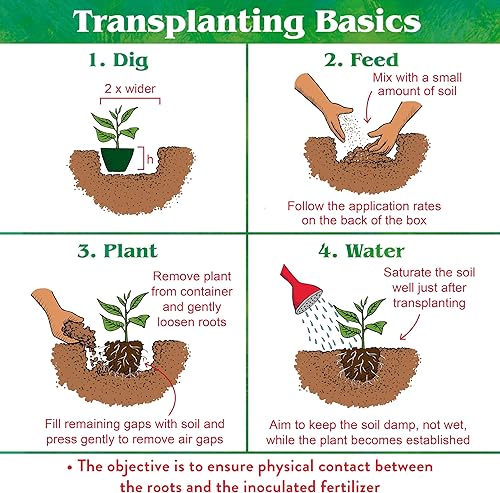 Miniatura 4 de Down to Earth Bio-Live - 50 lb