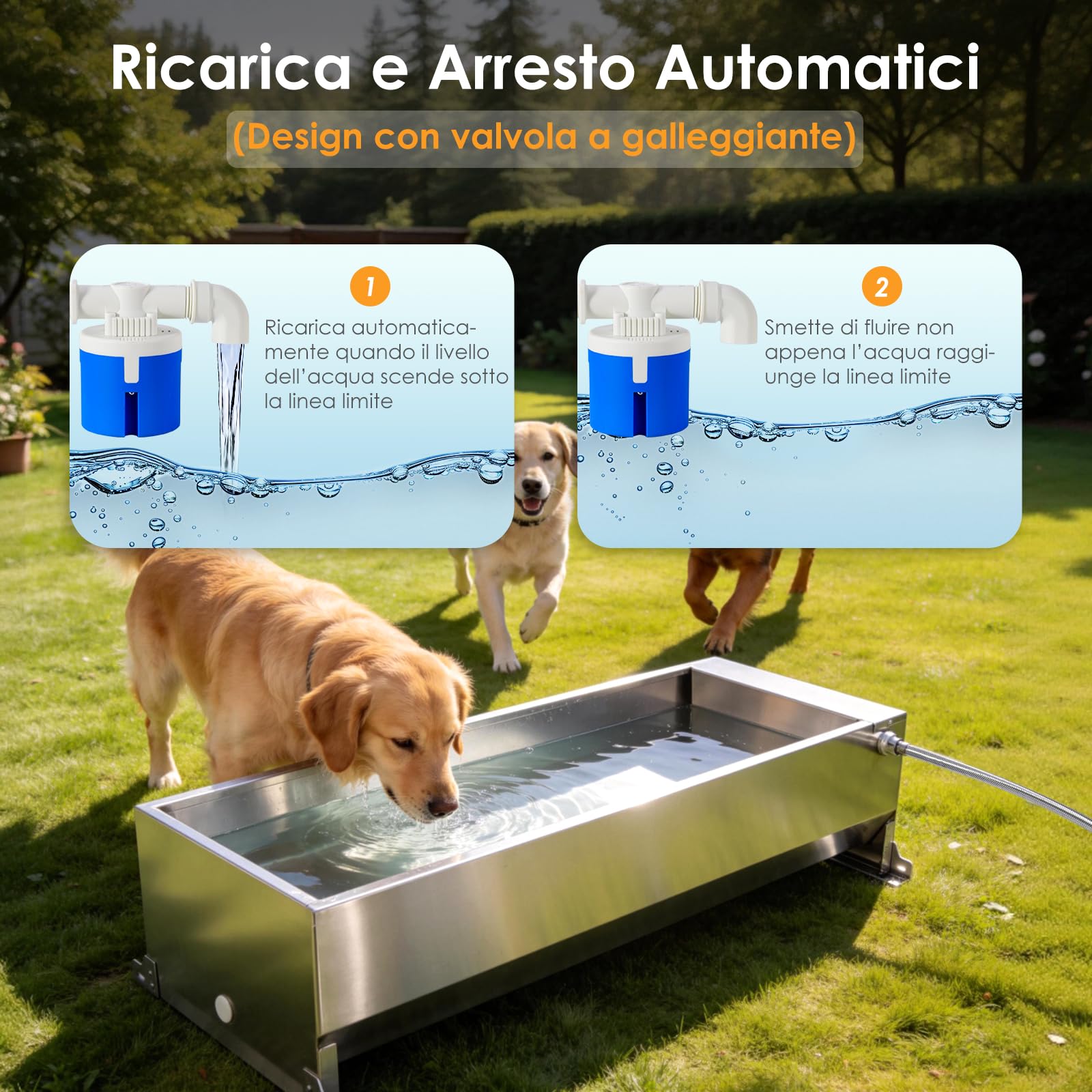 50 Litri Abbeveratoio con Galleggiante 1/2 Pollice, Abbeveratoio Automatico con Kit di Connessione, Abbeveratoio a Galleggiante con Supporti, Abbeveratoio per Cavalli,Capre,Pecore,Cani