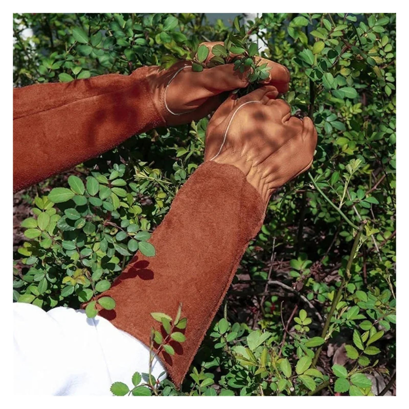 1 pièces gants de jardinage Pour Le Jardinage Extérieur