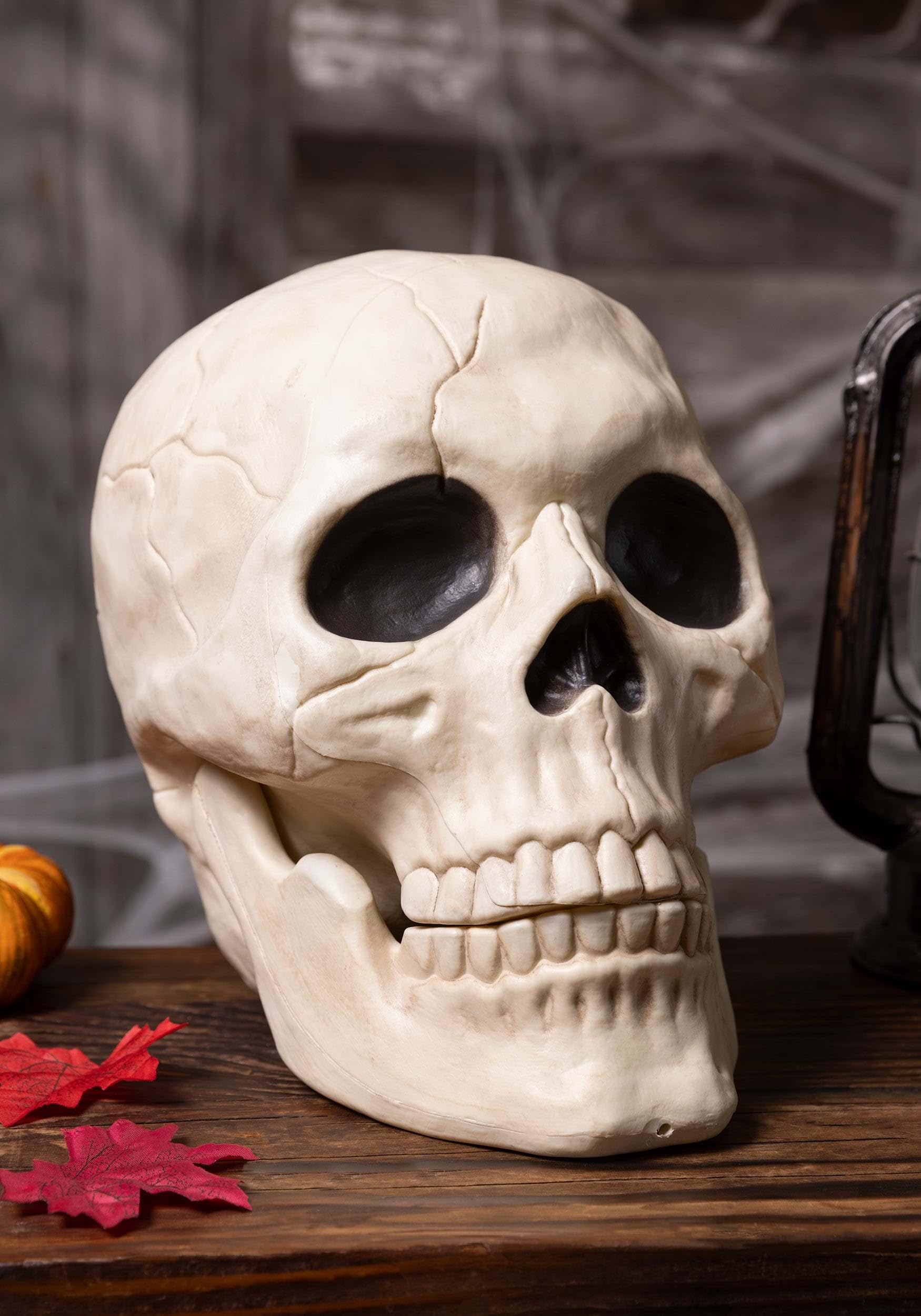 Large Skull Standard : Amazon.ca: Home