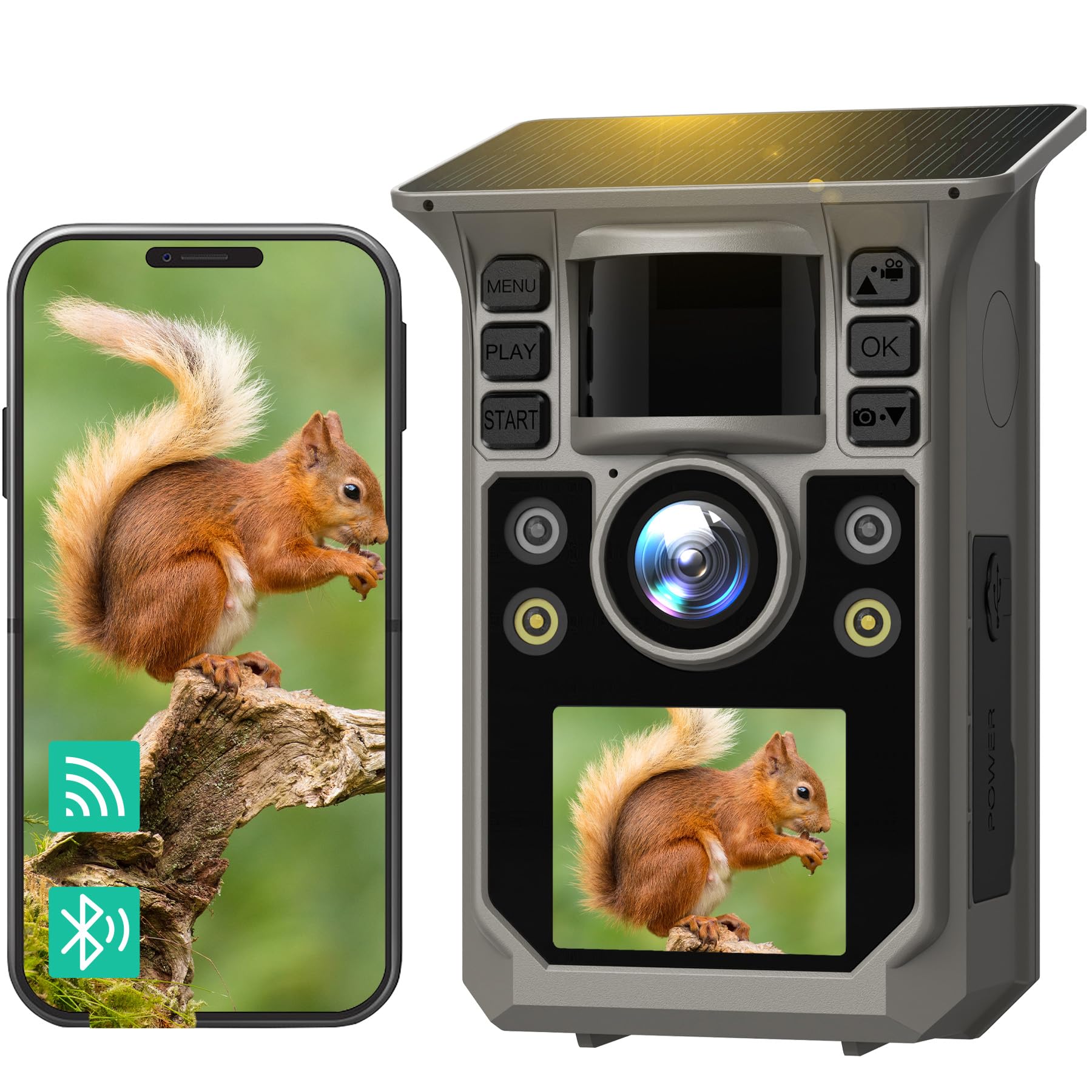 Fotocamera Da Trail 4K 48MP Con Batteria 2600mAh E Visione Notturna IR – Impermeabile IP66 Per Osservazione Fauna Selvatica E Sicurezza