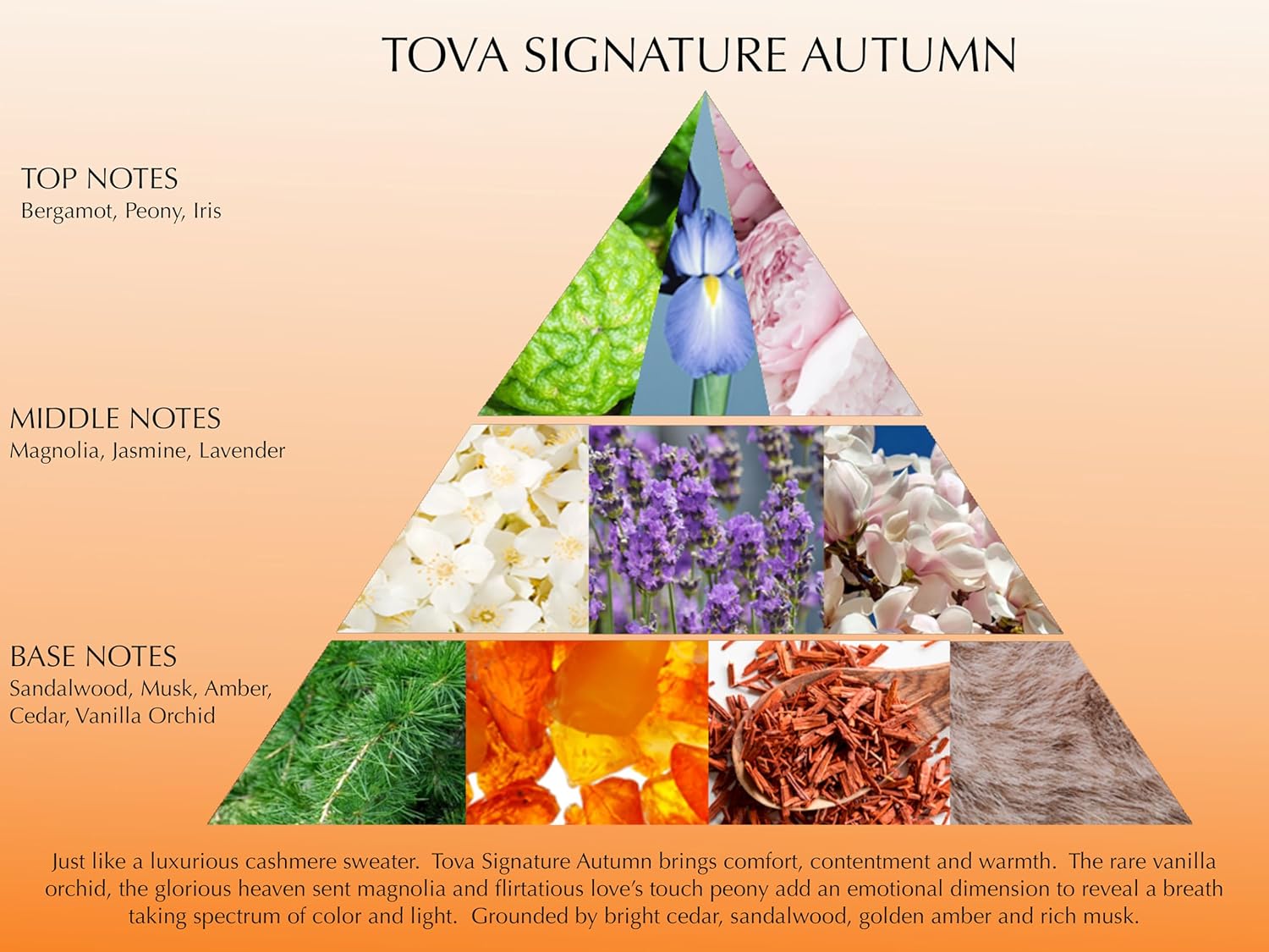 Tova Signature Autumn Eau de Parfum – Crisp Floral Amber Perfume for Women – Peony, Iris & Vanilla Orchid – USA-Made & Cruelty-Free – 3.4 fl oz - Image 5